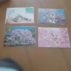 桜と猫のポストカード4枚セット
