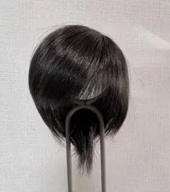 【1/6】6-7inch非耐熱ウィッグ　ショートシャギー(ナチュラルブラック)