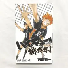 ハイキュー!! コンプリートガイドブック 排球本!