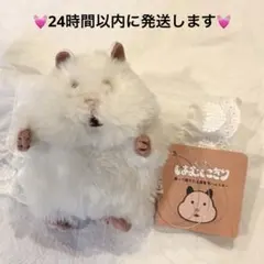 はむにぎり　おもち　新品タグ付き　ぬいぐるみ本体のサムネイル