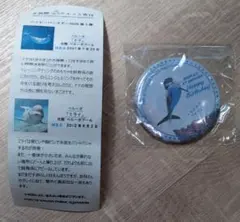 名古屋港水族館 水族館deクルッと寄付 返礼品 缶バッジ ベルーガ ナナ