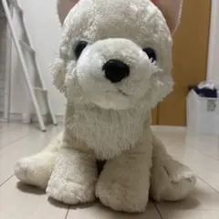 白い犬のぬいぐるみ
