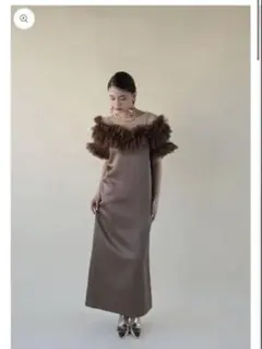 2025年最新】Volume tulle dress ackaの人気アイテム - メルカリ