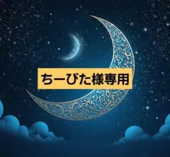 ちーびた様専用ページ