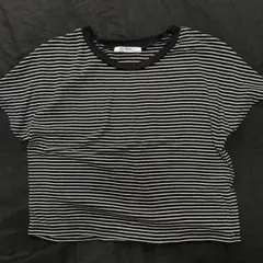 ZARA ストライプ　ボーダー　シンプル　Tシャツ　ショート丈