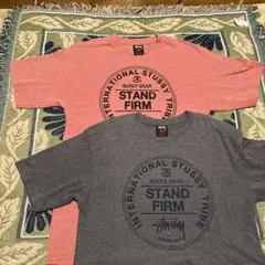 STUSSY ステューシー Tシャツ 2枚セット 杢カラー STAND FIRM