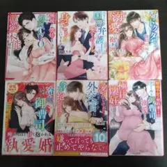 ベリーズ文庫　6冊まとめ売り　TL文庫 TL小説 2023年