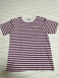 Stussy ストライプ 半袖ポケットTシャツ