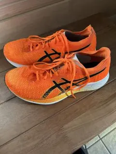 Item thumbnail for item 67bb8a0e-ece0-4150-804f-beeaf280355c