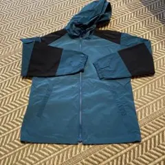 Item thumbnail for item 2d7c8580-1ae7-4db9-884c-9102f825ca0a