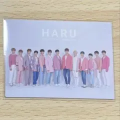SEVENTEEN 2019 HARU 集合 トレカ 02