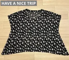 HAVE A NICE TRIP フレンチスリーブ　メッシュ水玉トップス　Lのサムネイル