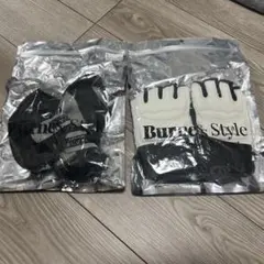 Item thumbnail for item b0936bd8-e3f1-4df7-bcb6-24ae3bc06d8b