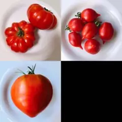 はーちゃん様 リクエスト 3点 まとめ商品