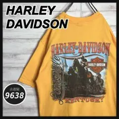 【USA製!!】ハーレーダビッドソン ✈︎バックプリント ゆるだぼ Tシャツ