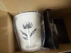 ECHOES of DUALITY ペアカップ 白のみ 登坂広臣 プロデュース