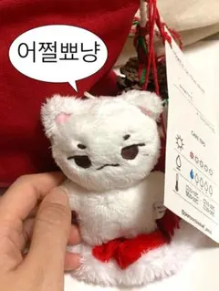 SEVENTEEN ウジ　10センチドール