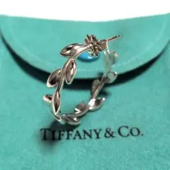 2026年最新】TIFFANY 傷・変色など：なし レディース ピアス(片耳用)の