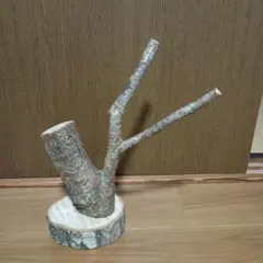 Item thumbnail for item a64c5023-420d-420d-9800-a2bc6cf1c100