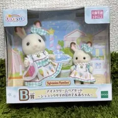 キラキラくじB賞 アイスクリームペアセット