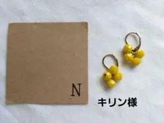 キリン様 リクエスト 3点 まとめ商品−500　3点イヤリング+300