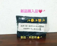 Steady. 6月号 付録 スヌーピー&ウッドストックのHAPPYランチバッグ