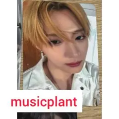 ald1 musicplant ヨントン トレカ 8枚 セット - メルカリ