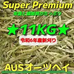 Item thumbnail for item 8591f164-4367-484f-babf-41db4b0dd4de