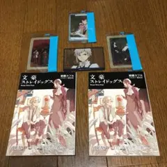 文豪ストレイドッグス BEASTー白の芥川、黒の敦ー  (映画限定小説)特典付き