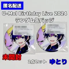 UMM FC LIVE 2024 缶バッジ 無音 等身 マリン 2点セット - メルカリ