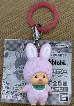 モンチッチ　めじるしアクセサリー アナザーカラー チムたんピンクver