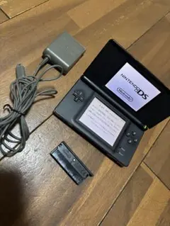 ds 本体 ジャンク