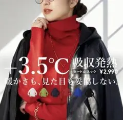 襟元可愛い アンティカ 発熱ヒートリブインナーニット レッド S〜Mサイズ