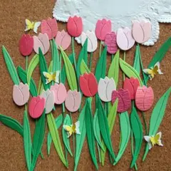 チューリップセット①