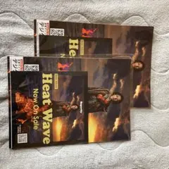 値下げ【美品】Superfly Heat ｗaveコンサート 配布物　2セット
