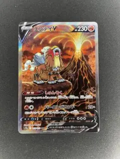 エンテイV SAR S12a VSTARユニバース 213/172 Entei V SAR 213/172 S12a VSTAR Universe - Pokemon Card Japanese | eBay