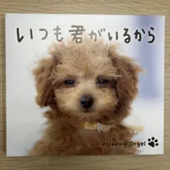 いつも君がいるから α波オルゴール CD