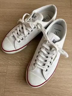 Item thumbnail for item 677414d7-f39e-4241-b972-b88386cb1589