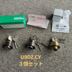 Item thumbnail for item 90201b80-da48-481c-97aa-2ea7f029f488