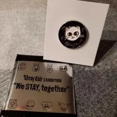Stray Kids 展覧会 ランダム ピンバッチ ジニレット スキズ