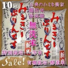 【Sale❗️無洗米・標準白米　５キロが２個】ミルキープリンセス　殺虫剤農薬不使用のサムネイル