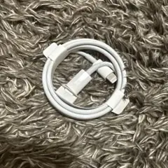 Apple純正Lightning to タイプc
