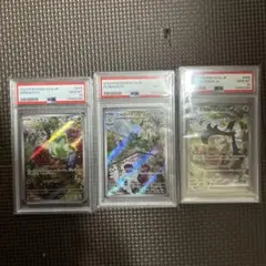 ニャオハ ar psa10 3連番セット