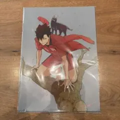 【未開封】ハイキュー 黒尾鉄朗 クリアファイル