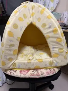 猫 ねこの家のサムネイル