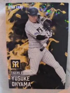 Item thumbnail for item f2f6840d-263b-44eb-9501-ff857181f436