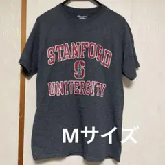 Champion スタンフォード大学 Tシャツ グレー
