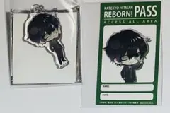 REBORN! シーズナルプランツ メガネ スーツ ランボ