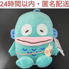 2026年最新】ハンギョドン ぬいぐるみ カナヘイの人気アイテム - メルカリ