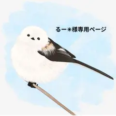 るー✴︎様専用ページ